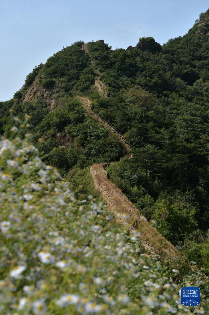 巴黎人真钱登录